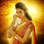 Nargis Fakhri Damas Jewelry Diwali 6