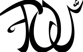 naQsh Logo