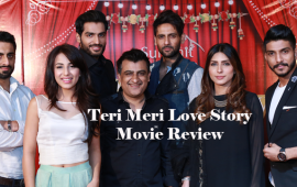 teri-meri-love-story