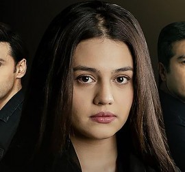 Phaans Episodes 15 and 16 Review: Zeba in real trouble, she lost the public support